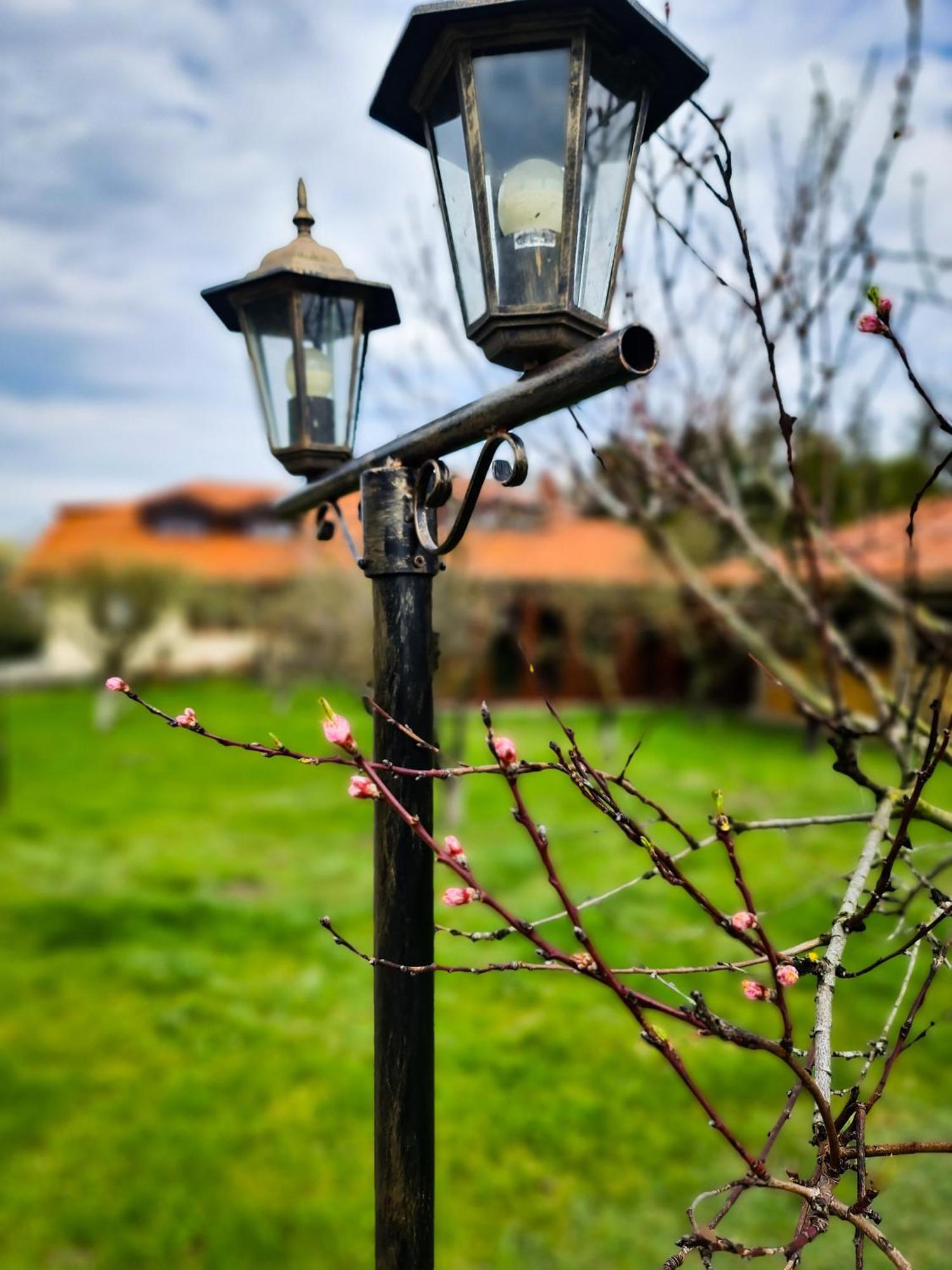 Gosciniec Gryszczeniowka & Spa Wargowo Exteriör bild